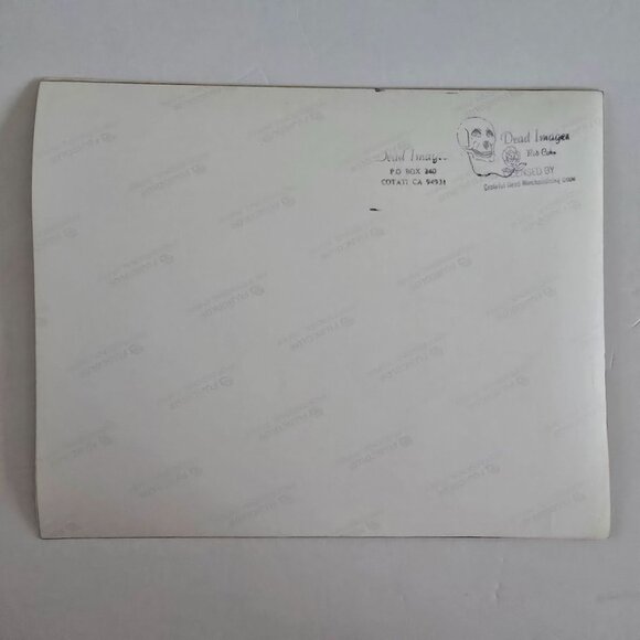 Phil Lesh Barney Grateful Dead Concert Photo Vintage 1990s Dead Images Rob Cohn - Picture 10 of 16